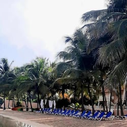 Private beach, sun loungers, beach umbrellas, beach towels