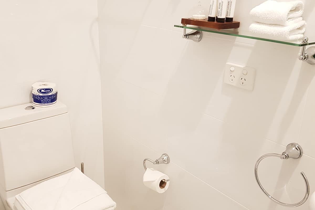 shower, designer toiletries, hair dryer, towels