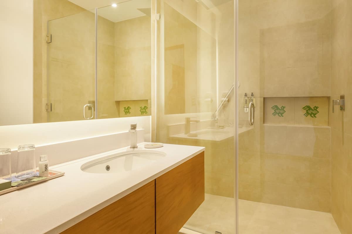shower, free toiletries, hair dryer, towels