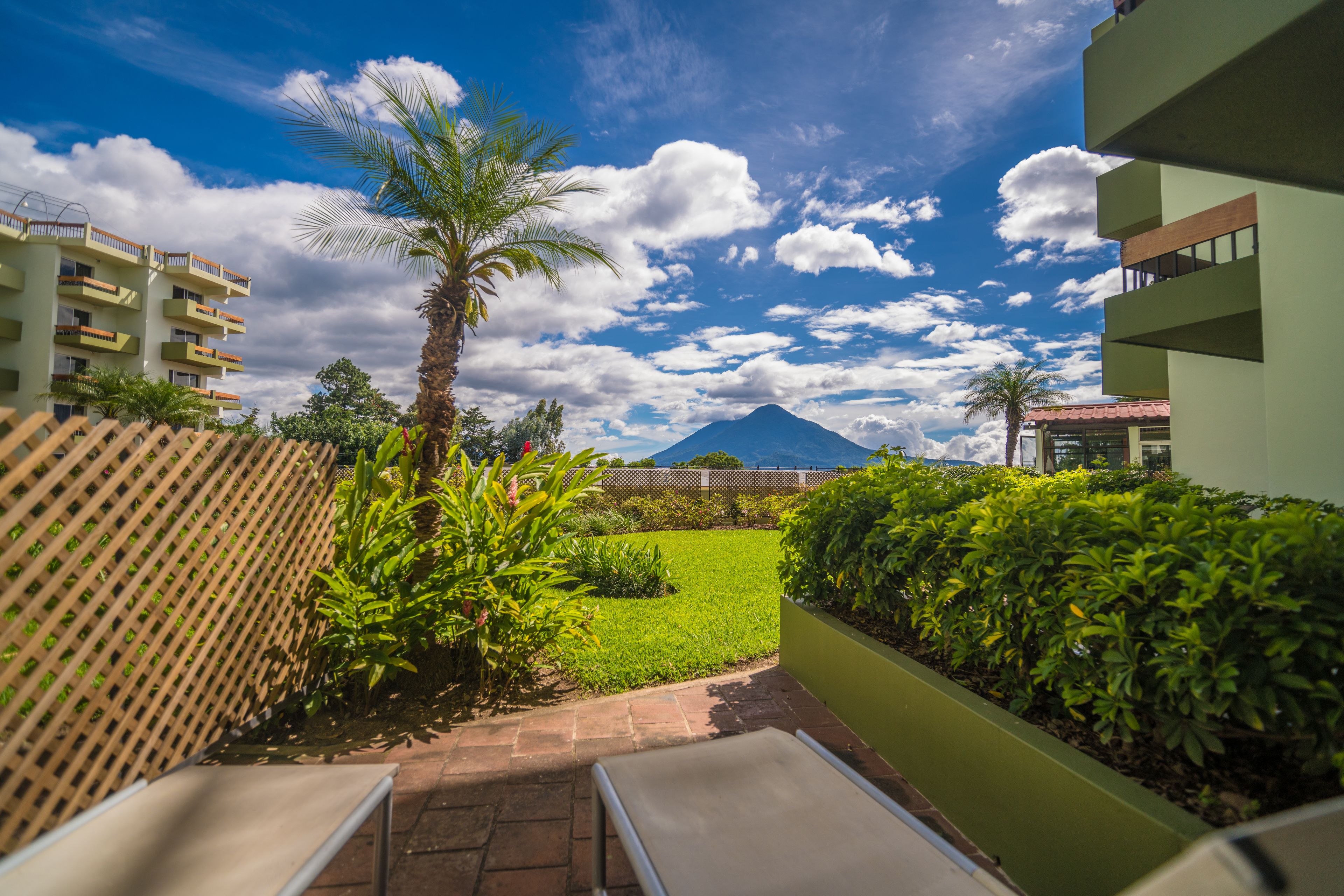 Un patio con vista a la montaña, una palmera y una valla.