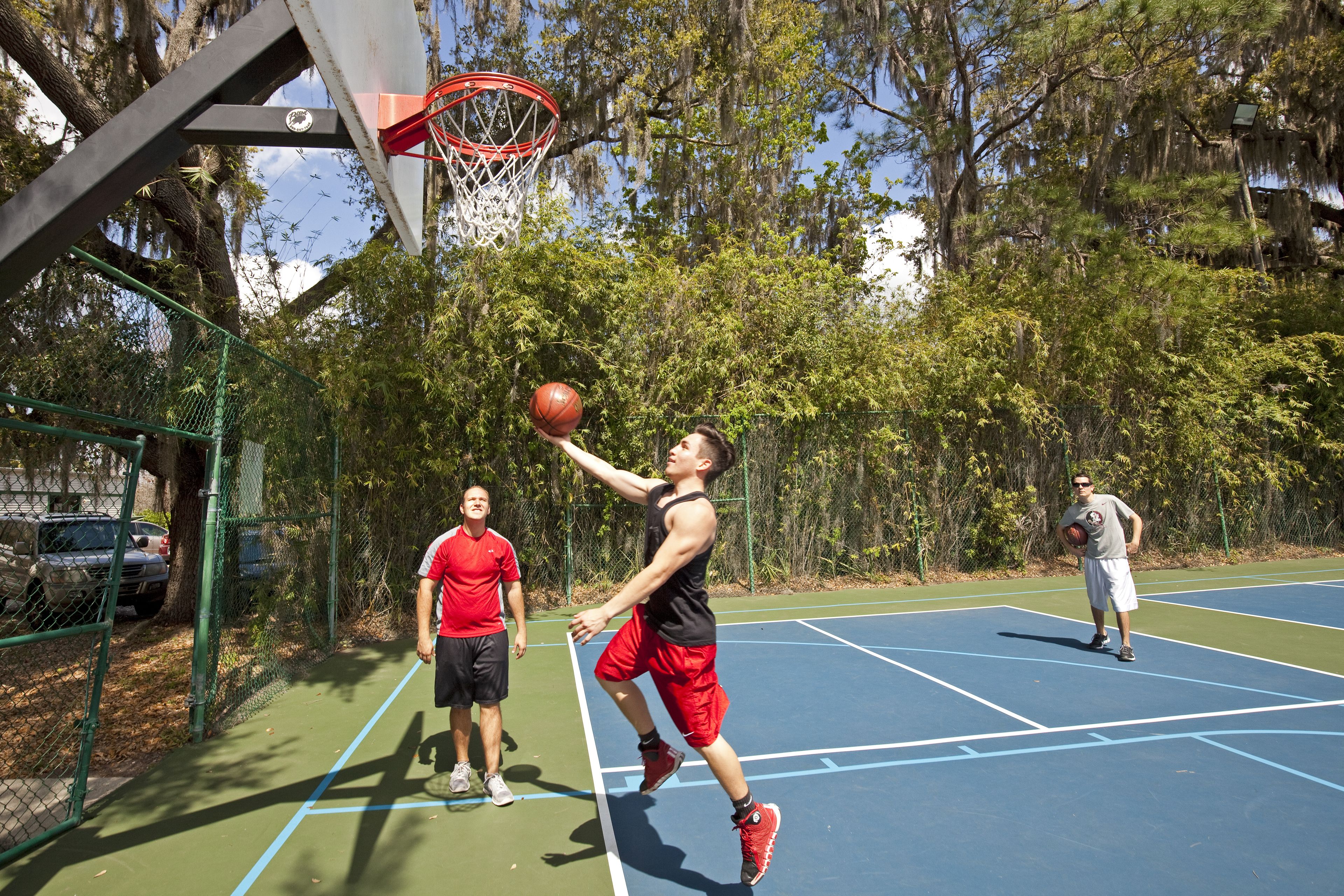 Una cancha de baloncesto al aire libre con un aro, rodeada de árboles y una valla.