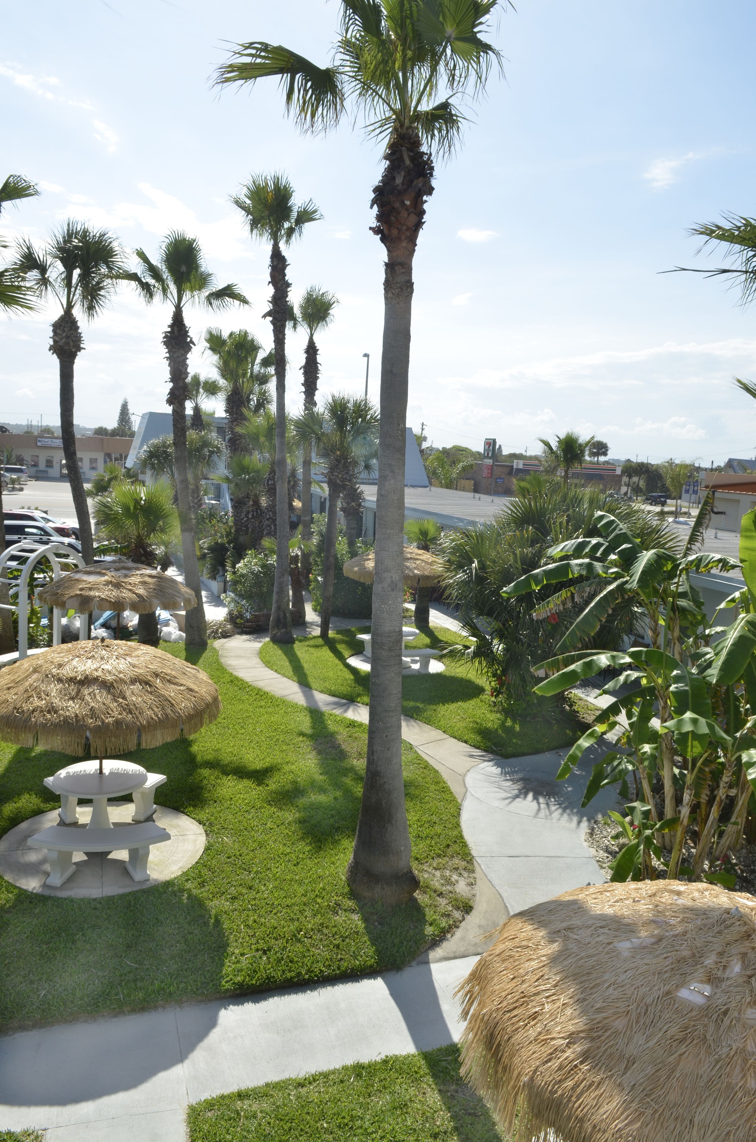A well-maintained outdoor area with palm trees, thatched umbrellas, and a paved walkway.