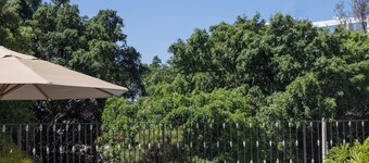 Fiesta Inn Guadalajara Expo