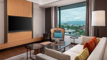 Flat-screen TV