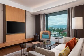 Flat-screen TV