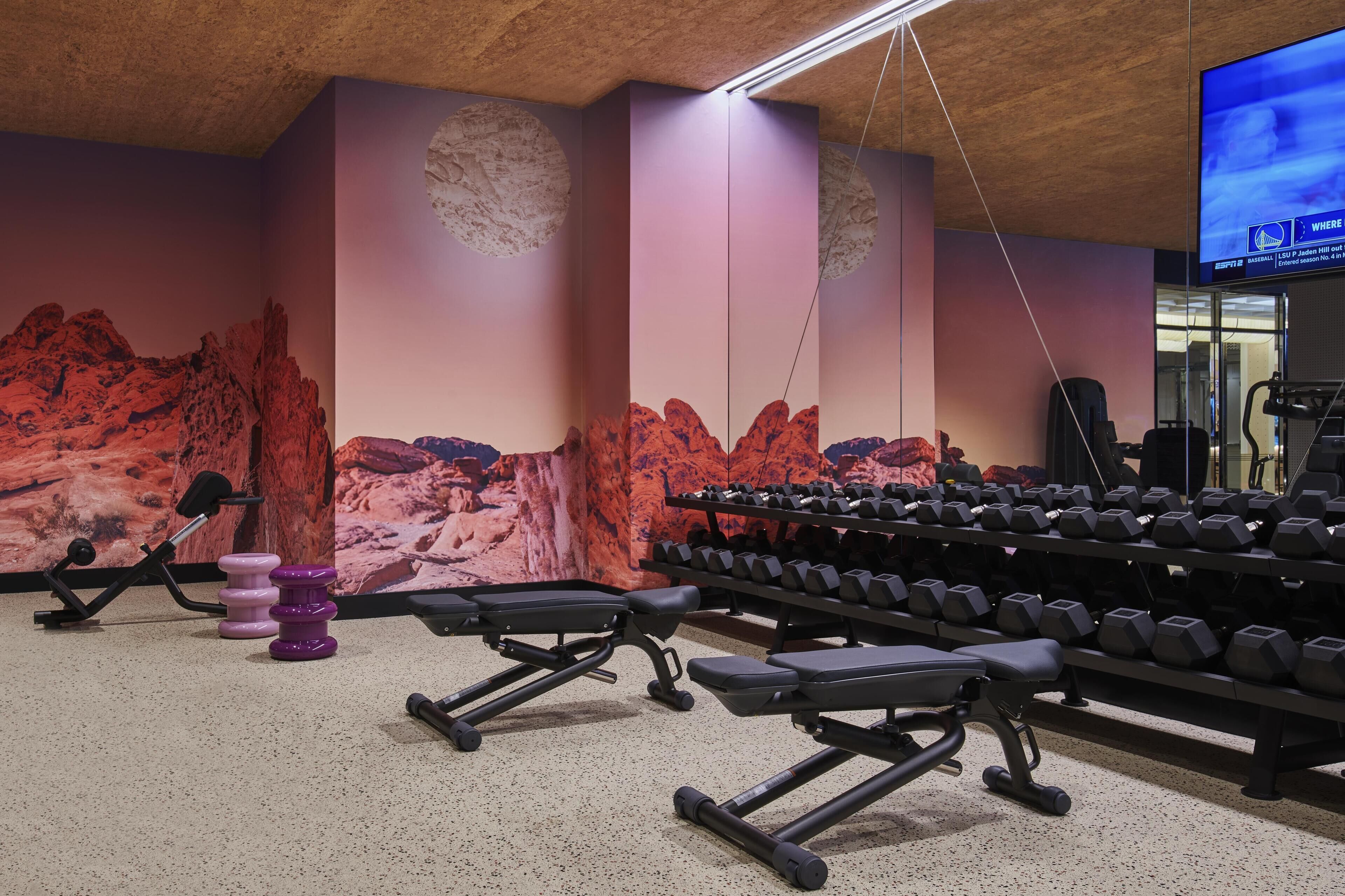 A gym with exercise equipment, including dumbbells and benches, and a television mounted on the wall.