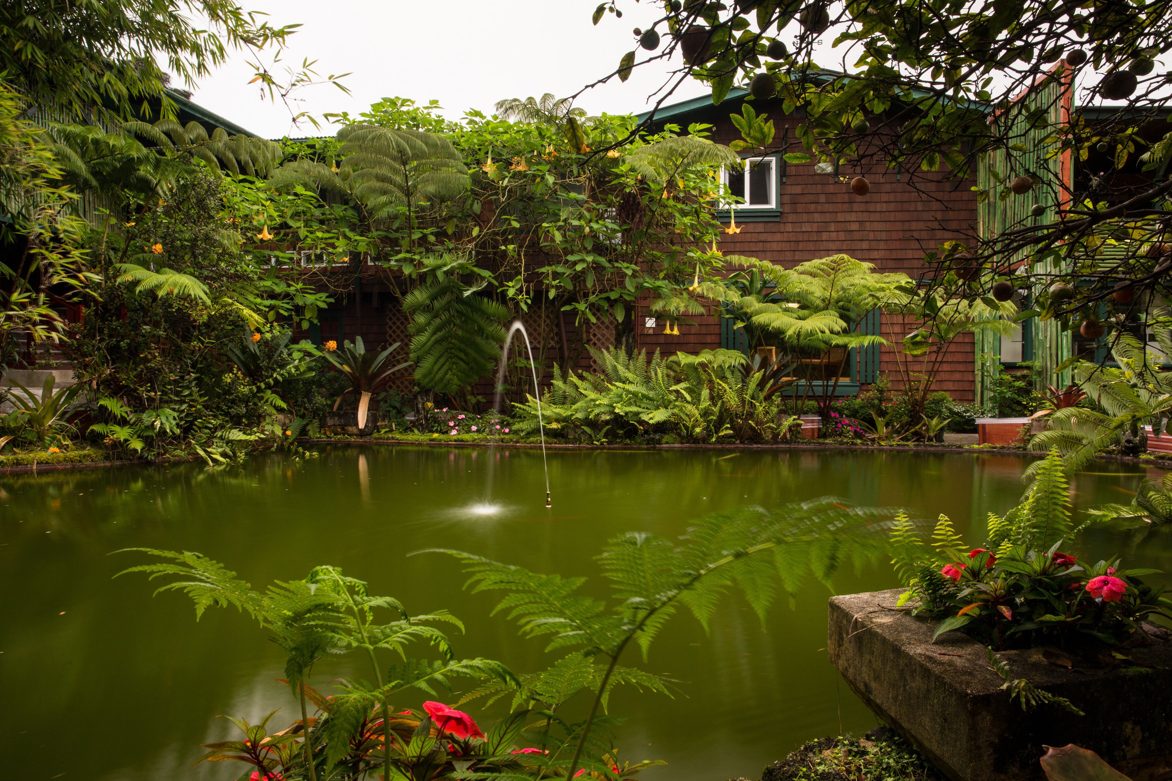 Ein friedlicher Garten mit Teich, üppiger Bepflanzung und einem traditionellen Gebäude mit Gründach.