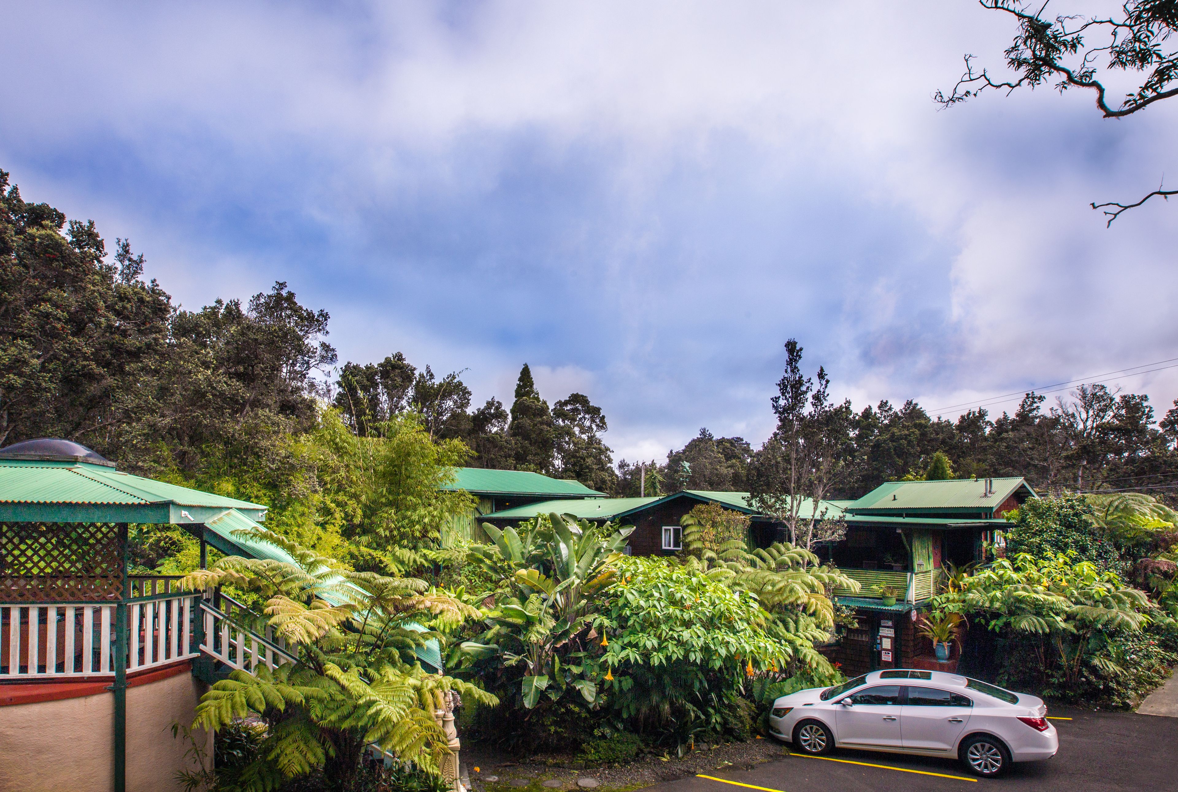 A building with a green roof surrounded by lush greenery and a parked car.