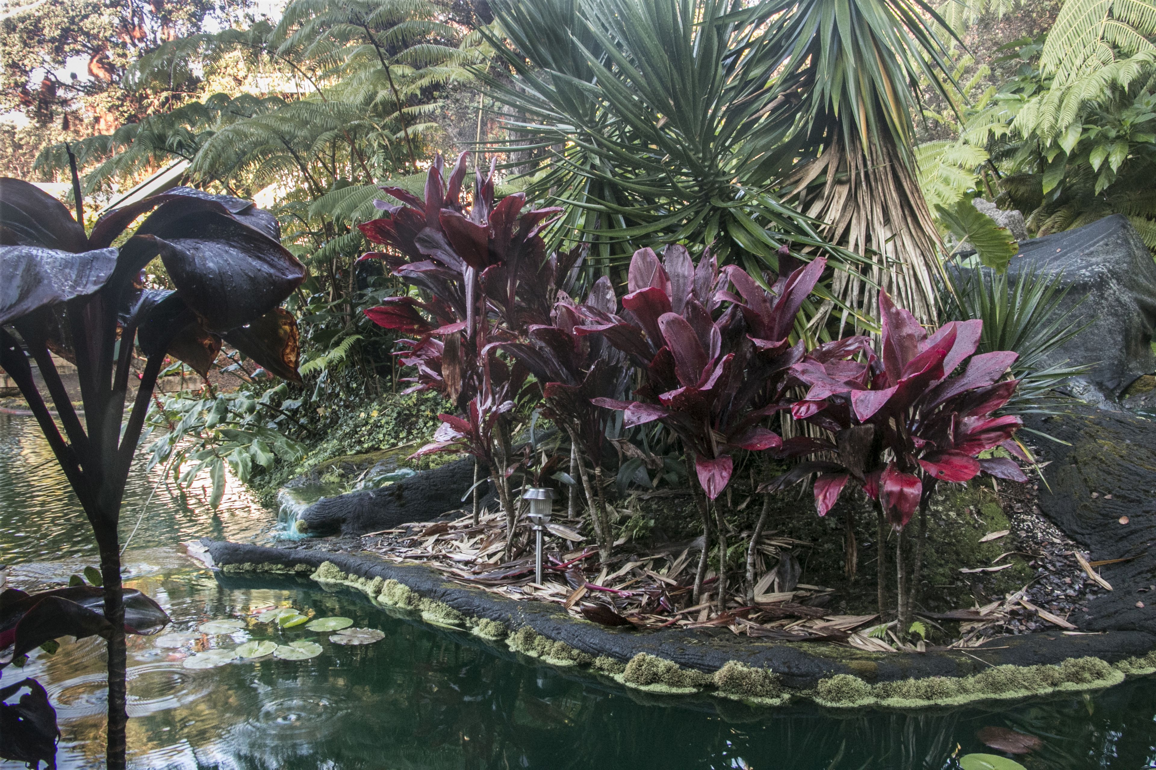 A serene garden with a pond, lush greenery, and a variety of plants.