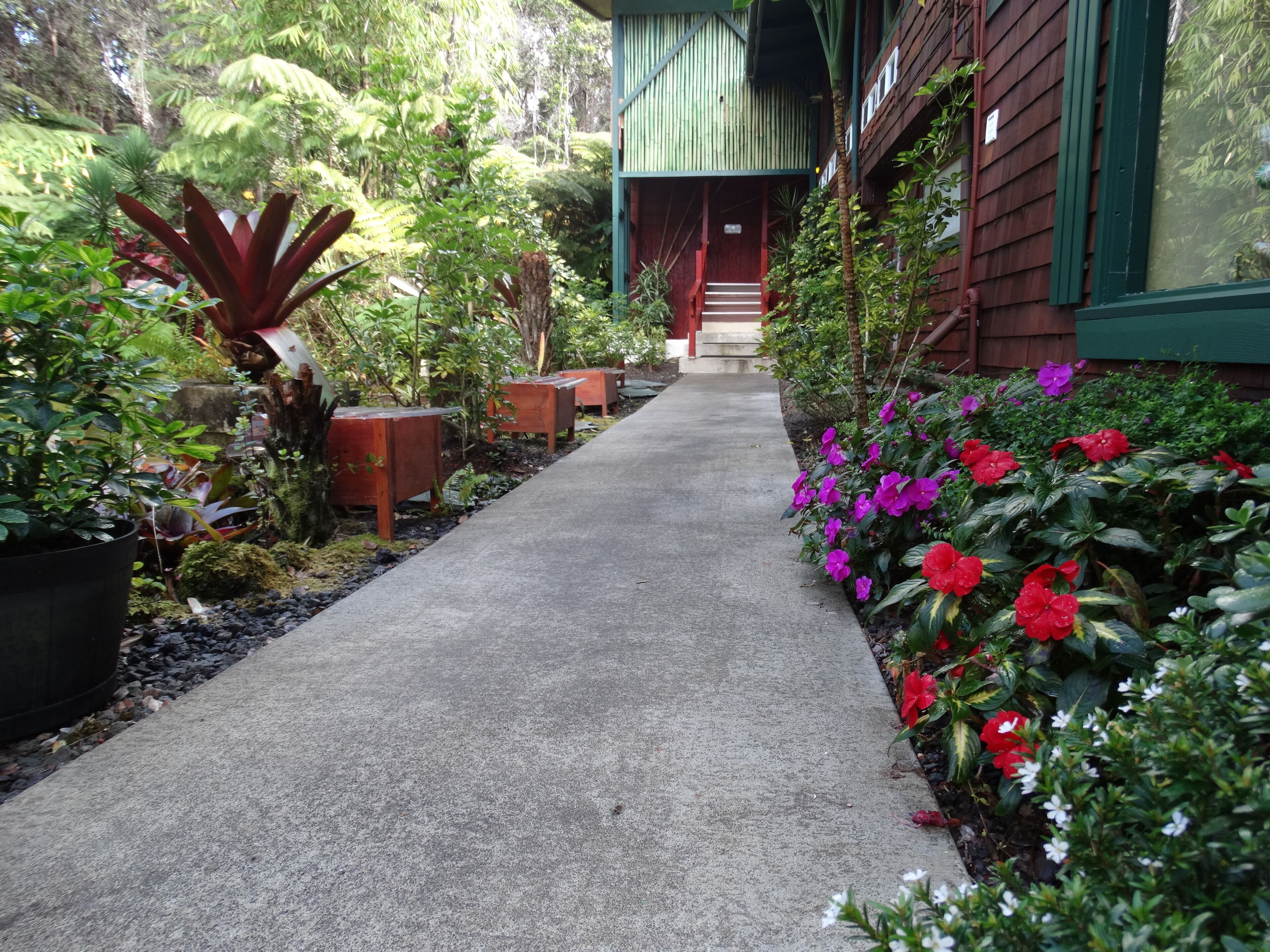 Um caminho leva a um edifício com telhado verde e detalhes vermelhos, rodeado por vegetação exuberante e plantas floridas.