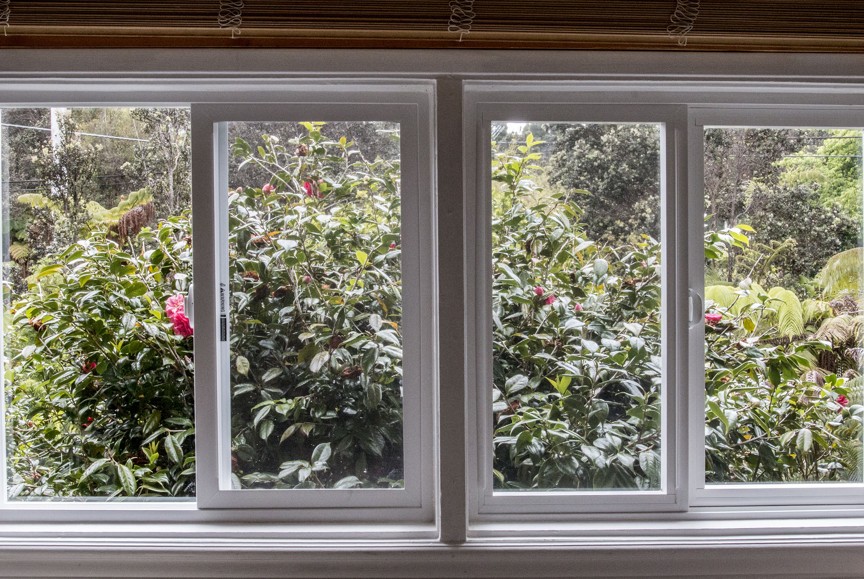 standard room, 1 queen bed (chalet kilauea hotel) | view from room