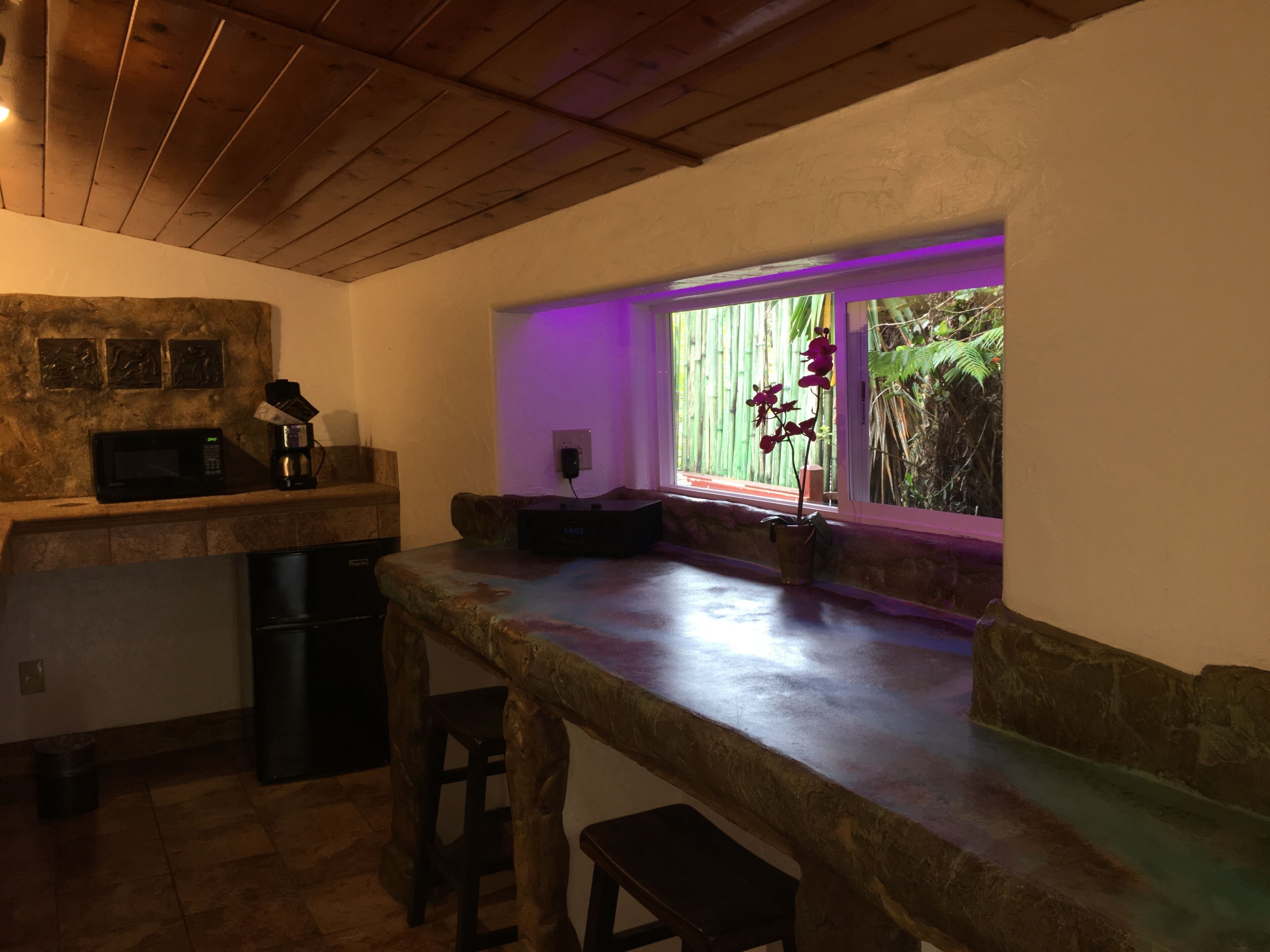 A kitchen with a stone countertop, a microwave, a coffee maker, and a window with a view of greenery.