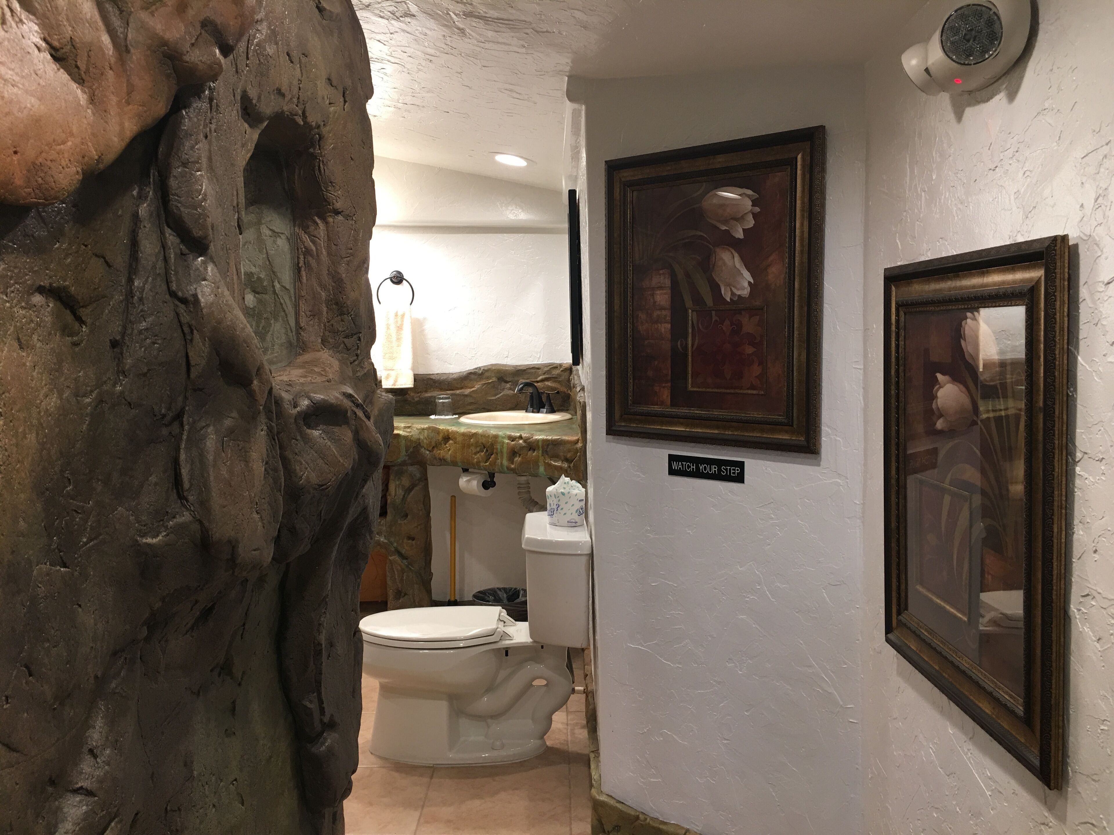 Un baño con pared de piedra, un lavabo, un inodoro y dos cuadros en la pared.