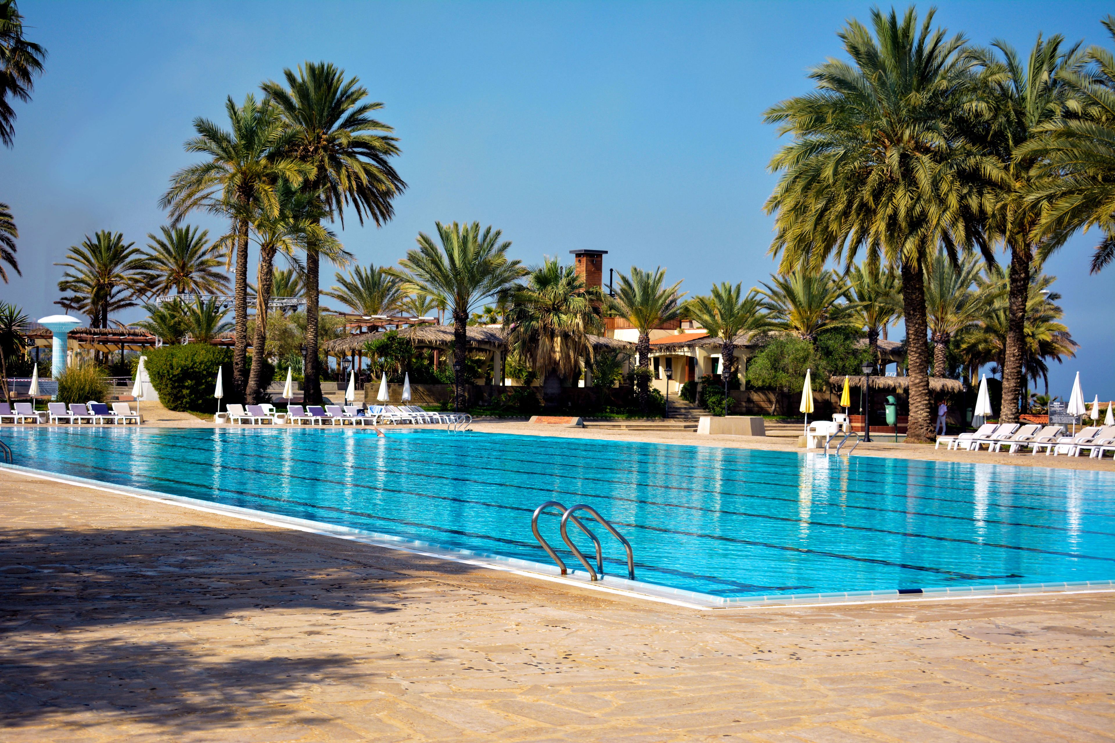 A swimming pool with clear blue water, surrounded by palm trees and lounge chairs.