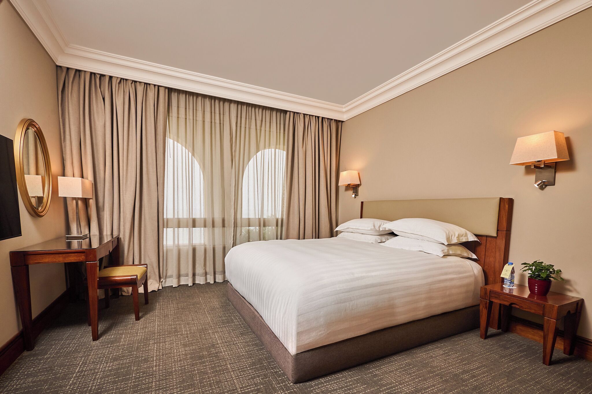 Habitación de hotel con una cama grande, un escritorio con silla, una mesita de noche con lámpara y una planta en maceta.