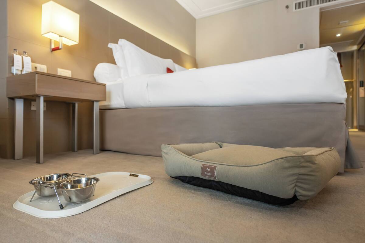 Habitación de hotel con cama, una cama para mascotas, un atril con cuencos y una mesita de noche con lámpara.