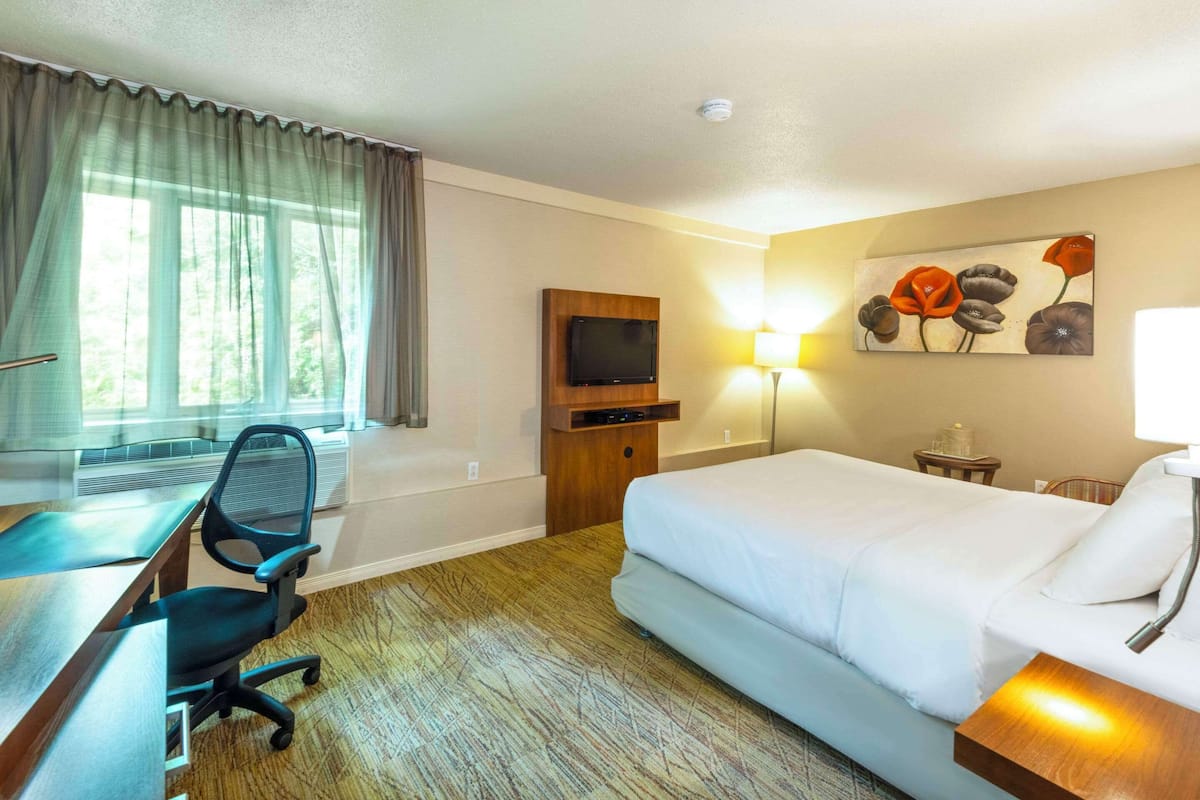 A hotel room with a bed, desk, chair, TV, and artwork on the wall.