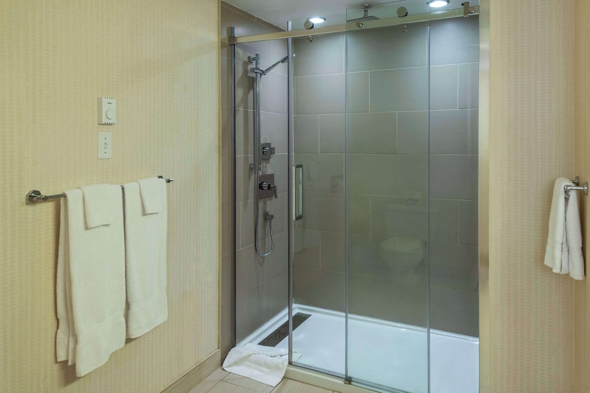 combined shower/bathtub, free toiletries, hair dryer, towels