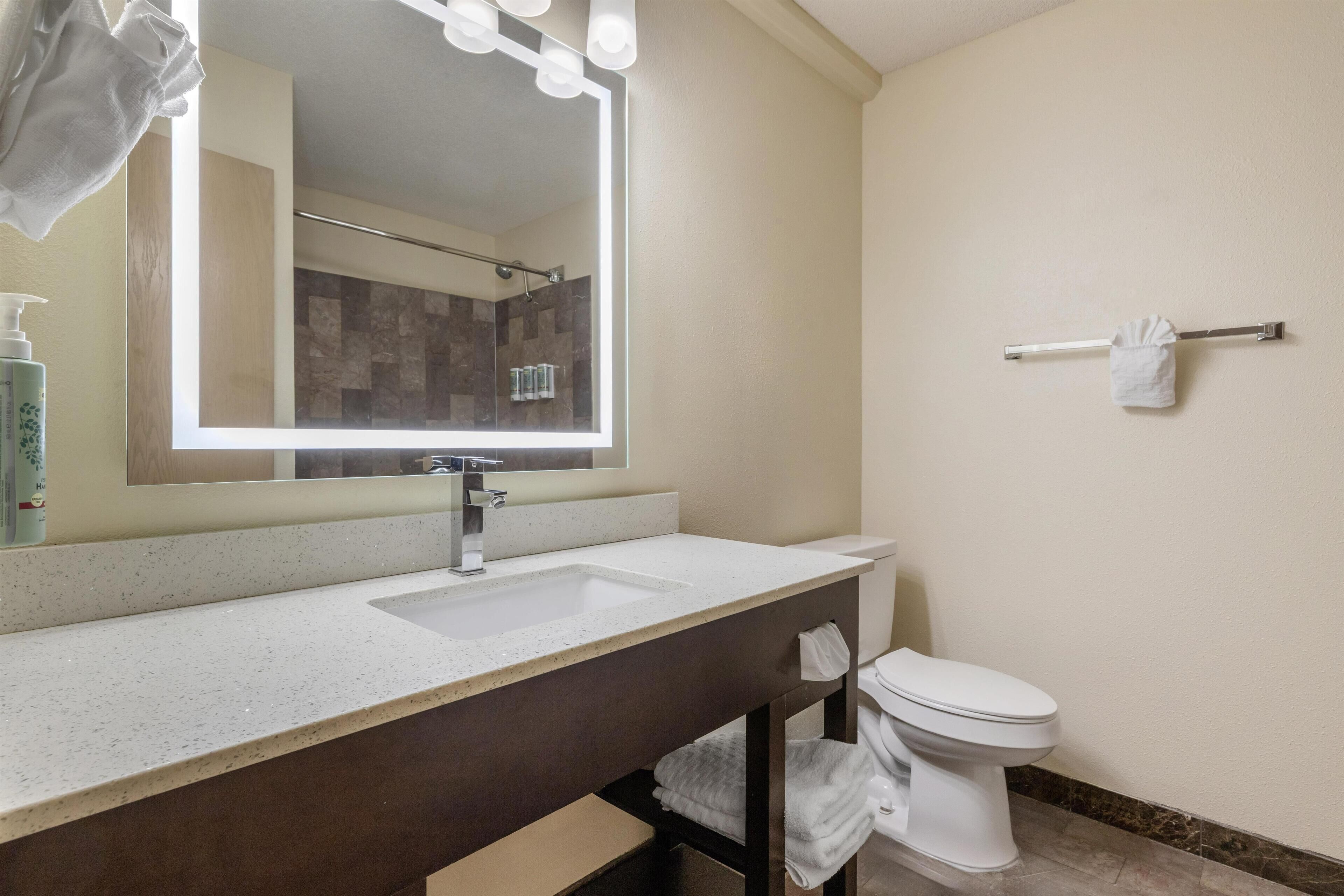 A bathroom with a sink, mirror, and toilet.