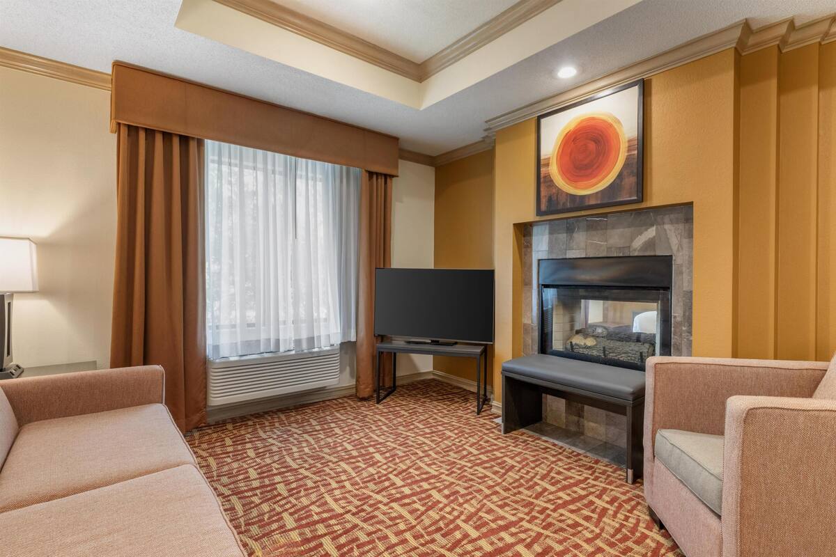 A hotel room with a large window, a flat-screen TV, a fireplace, and two sofas.