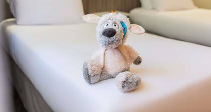 Ibis Styles Lyon Gorge de Loup Saphir