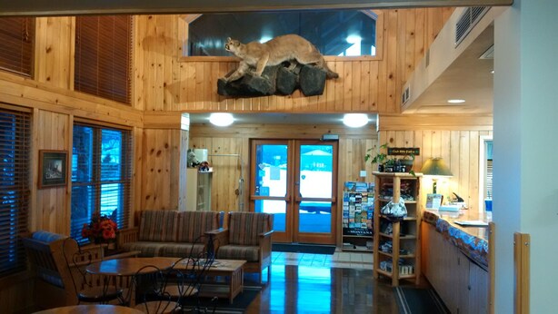 A wooden interior with a reception desk, seating area, and a large animal sculpture. - Elkhorn Mountain Inn (Clancy)