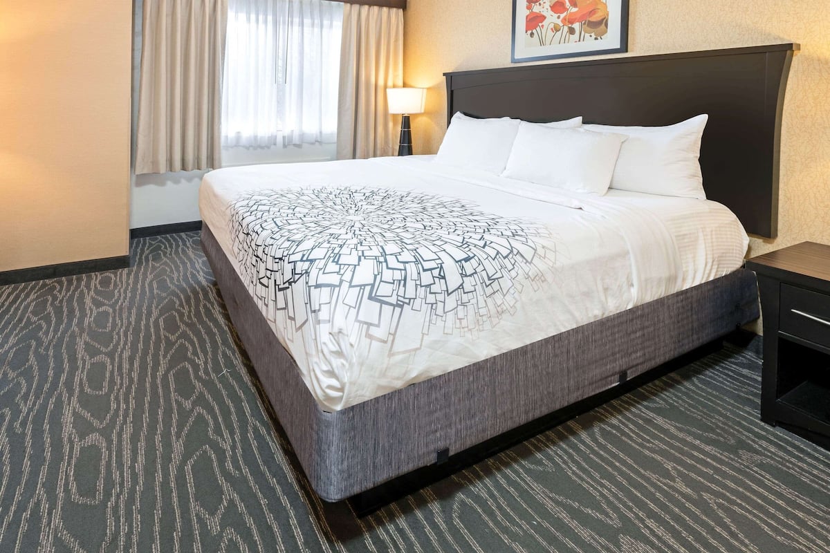 Deluxe Studio Suite, 1 Katil Ratu (Queen), Non Smoking | Peralatan tempat tidur premium, tilam berlapik, meja