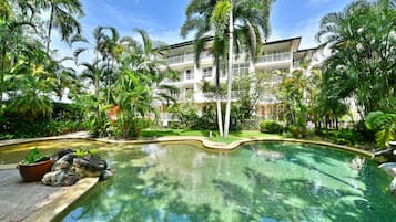 Outdoor pool, sun loungers