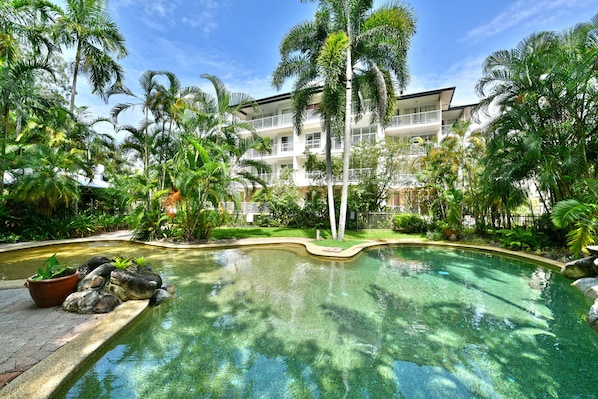 Outdoor pool, sun loungers