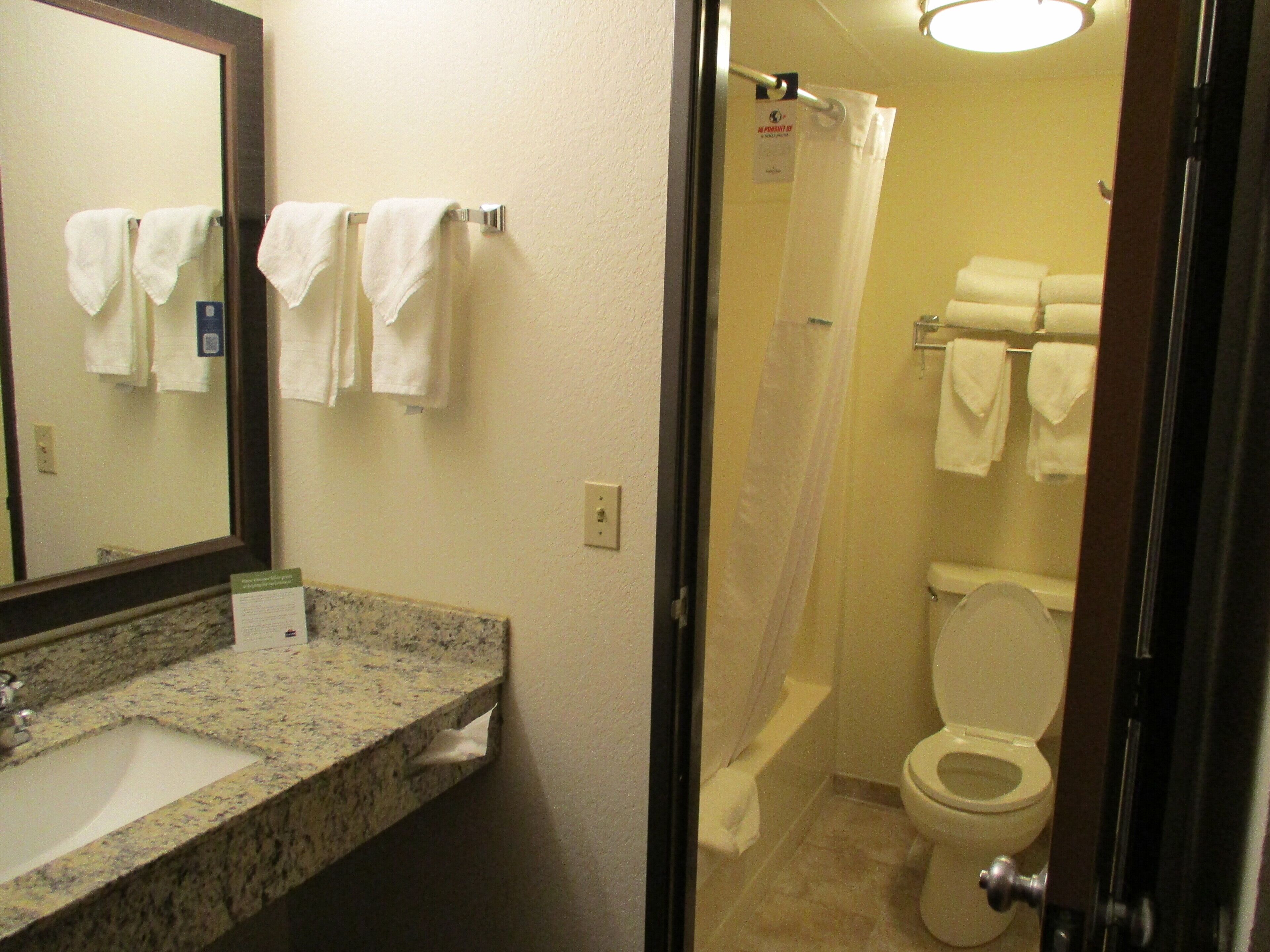 combined shower/bathtub, free toiletries, hair dryer, towels