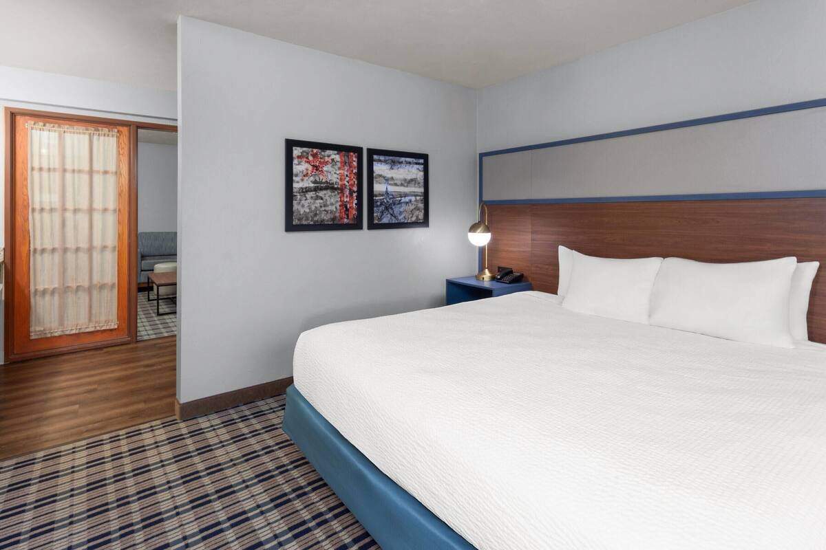 Kamer, 1 kingsize bed, niet-roken (One-Bedroom) | Een strijkplank/strijkijzer, gratis babybedden, extra bedden (toeslag)