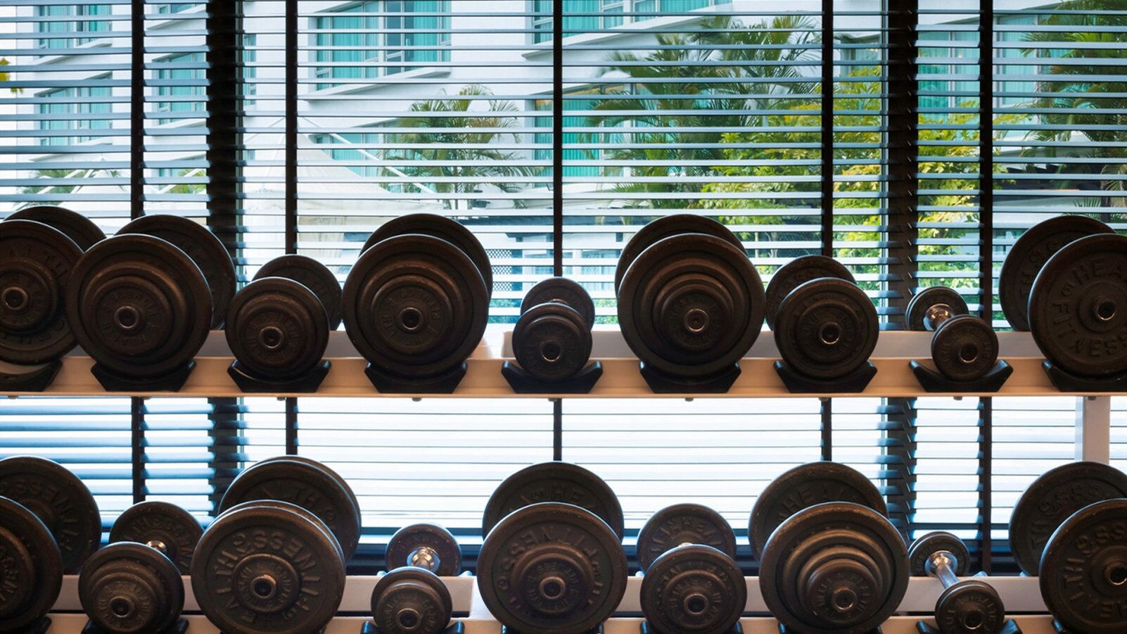 A row of weight plates on a rack, with a window in the background.