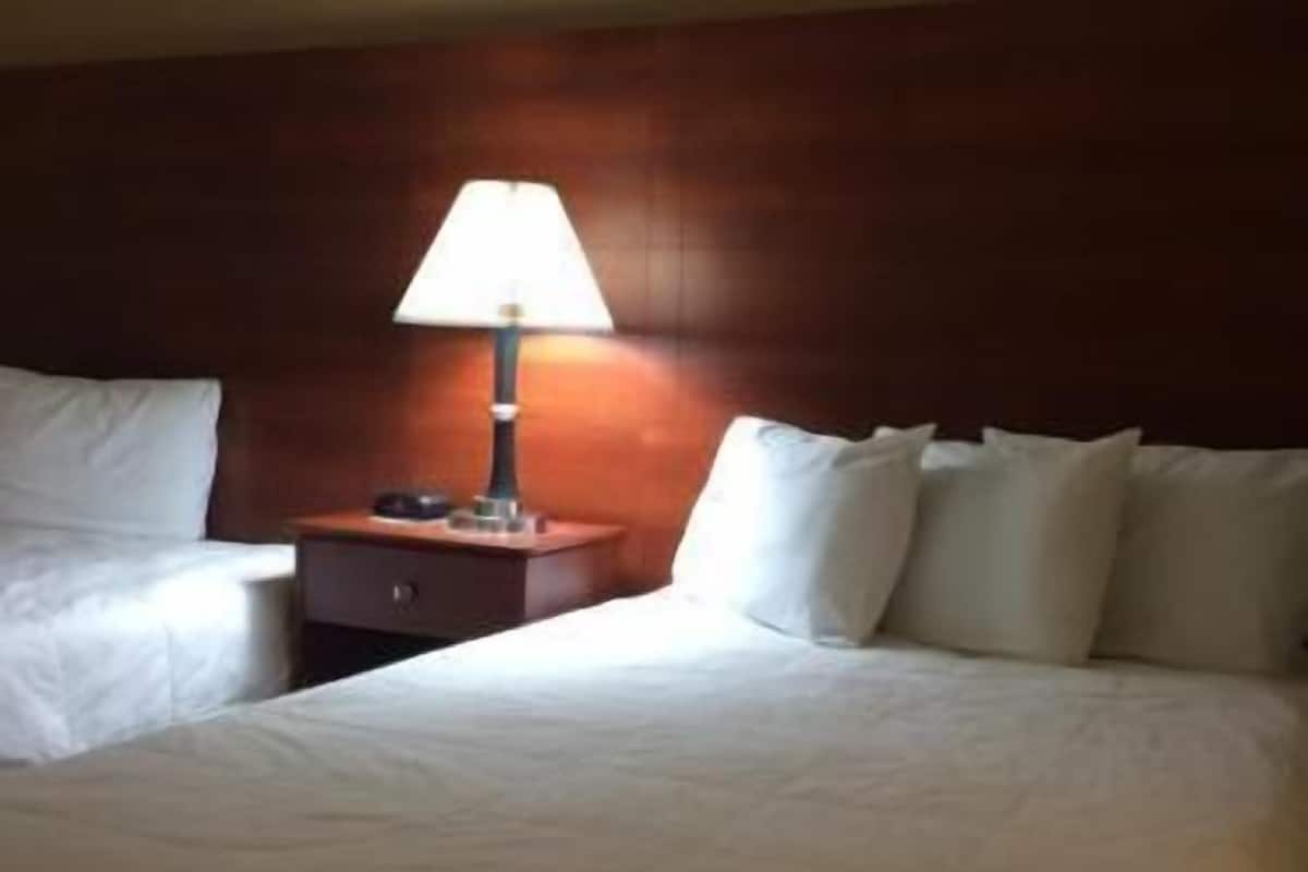 Desk, iron/ironing board, free WiFi, bed sheets