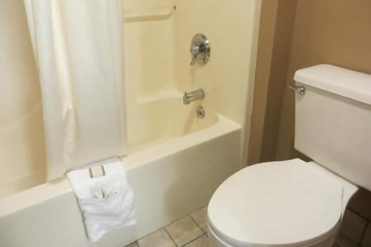Bathroom | Combined shower/tub, free toiletries, towels
