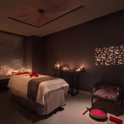 Sauna, body treatments, body wraps, body scrubs, Ayurvedic treatments