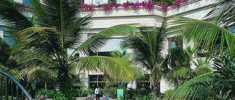 A hotel with a swimming pool surrounded by lush greenery and palm trees.