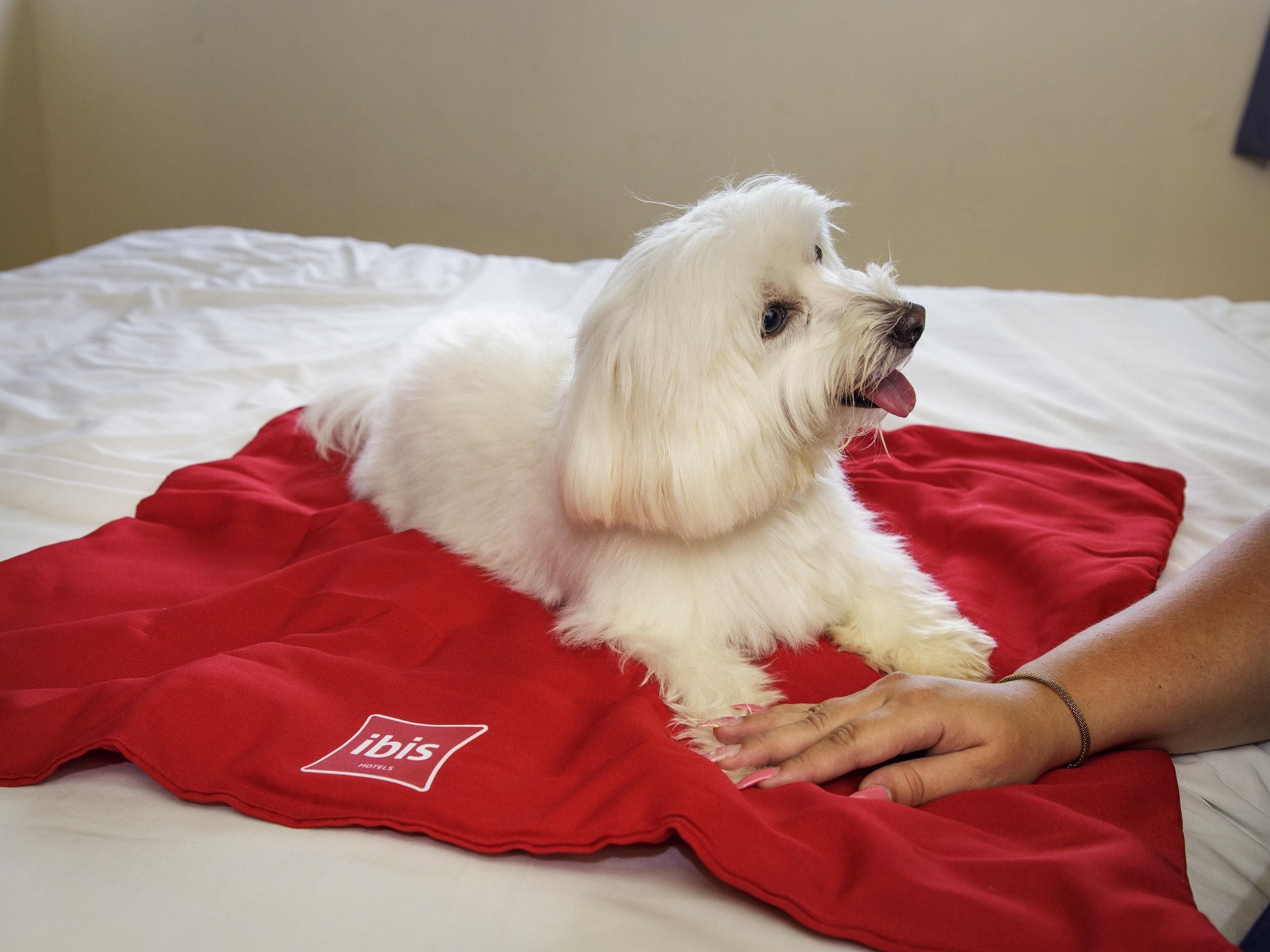 Standard-huone, 1 parisänky | Tallelokero huoneessa, työpöytä, ilmainen Wi-Fi, vuodevaatteet