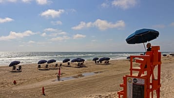 Nära stranden, kajakpaddling och motorbåtsåkning