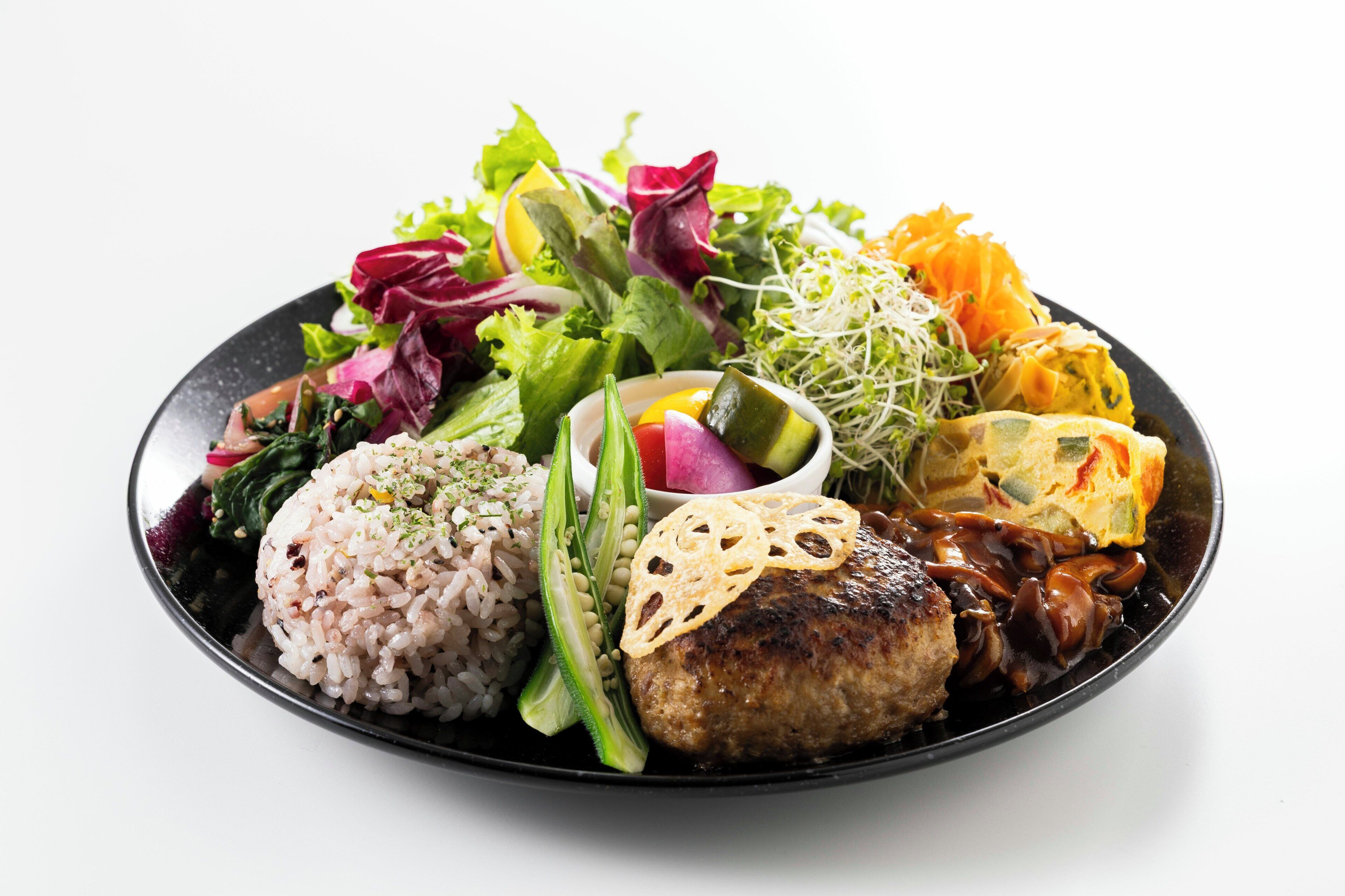 A plate of food with rice, vegetables, and a piece of meat.