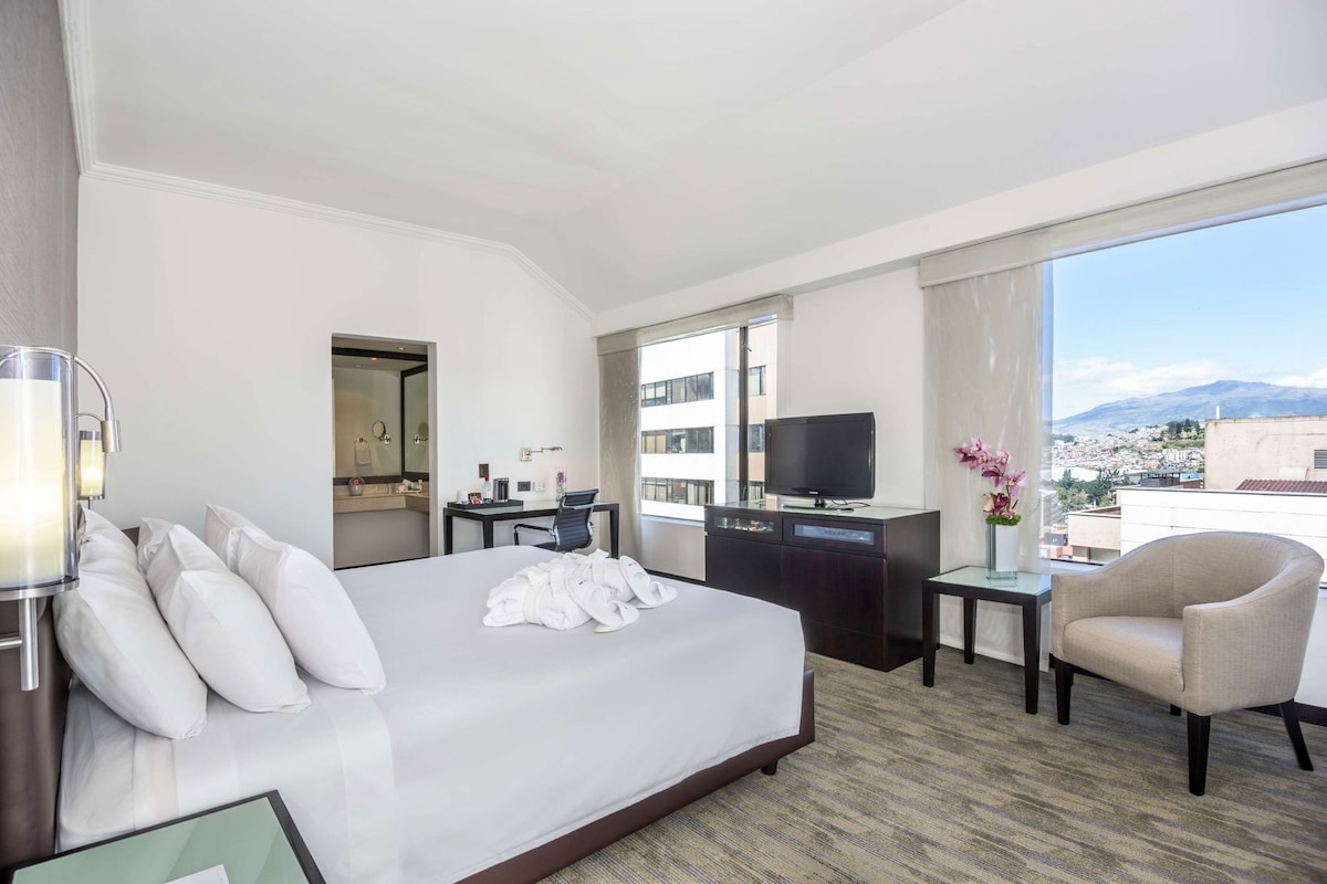 Habitación de hotel con una cama grande, un escritorio con televisor, una silla y vista a la ciudad.