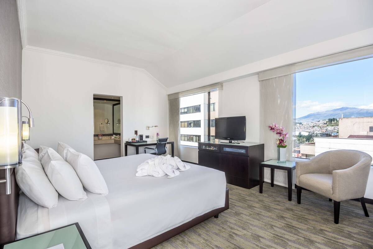 A hotel room with a large bed, a desk, a chair, a TV, and a view of the city.