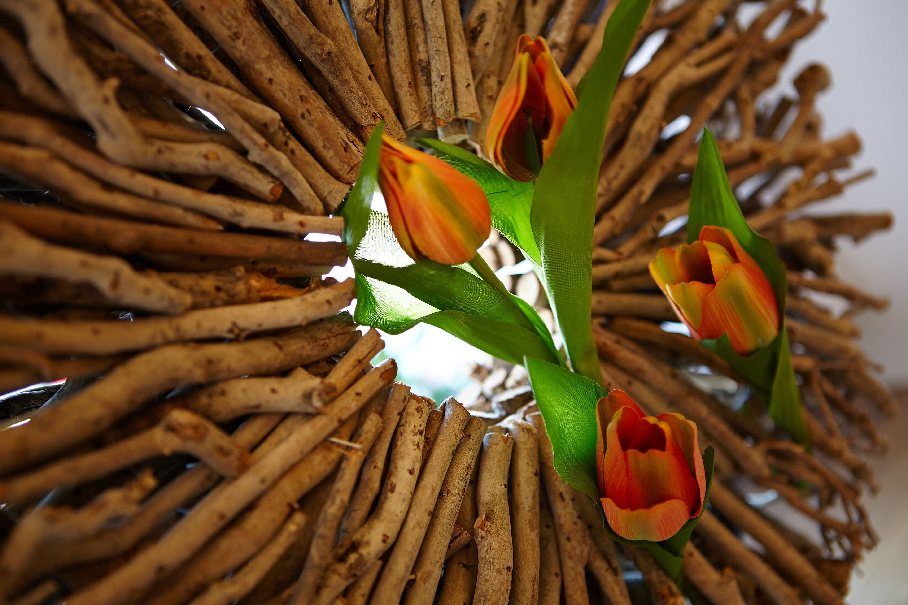 Una composición decorativa de palitos de madera y tulipanes.
