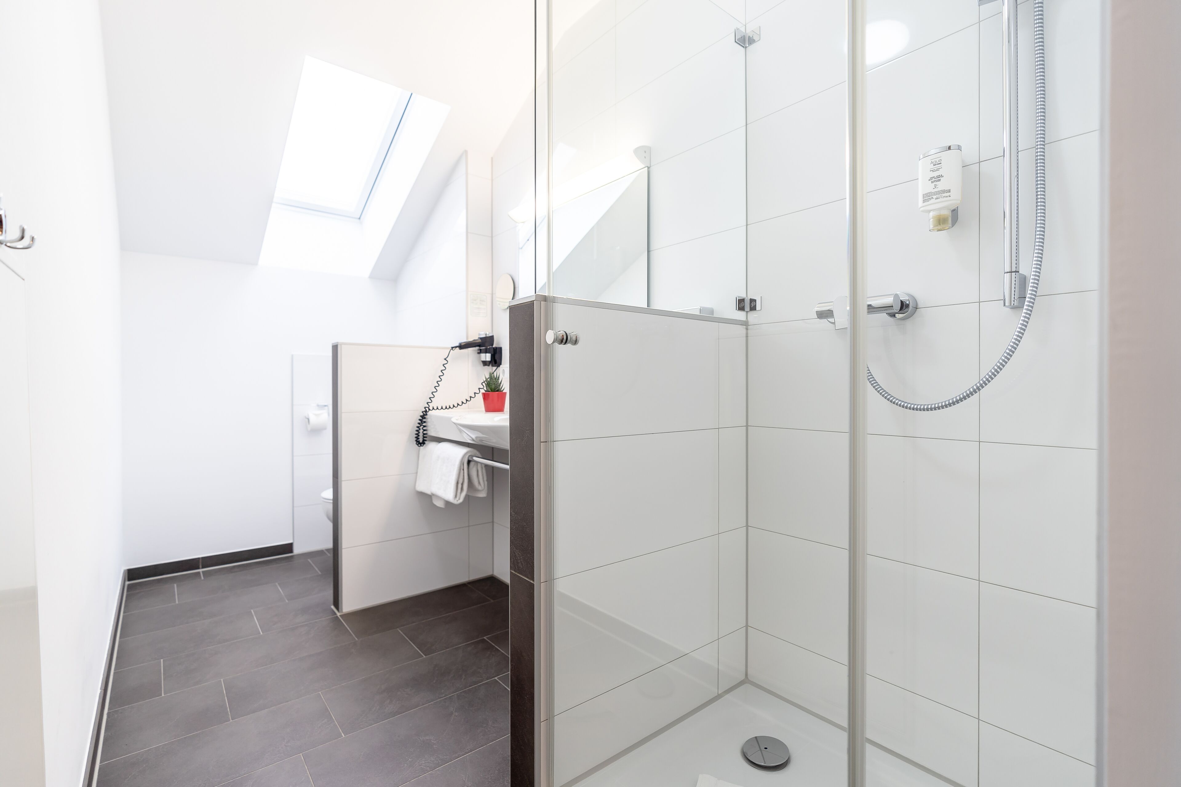 Une salle de bain moderne avec une douche à l’italienne en verre, un puits de lumière et un sol carrelé foncé.