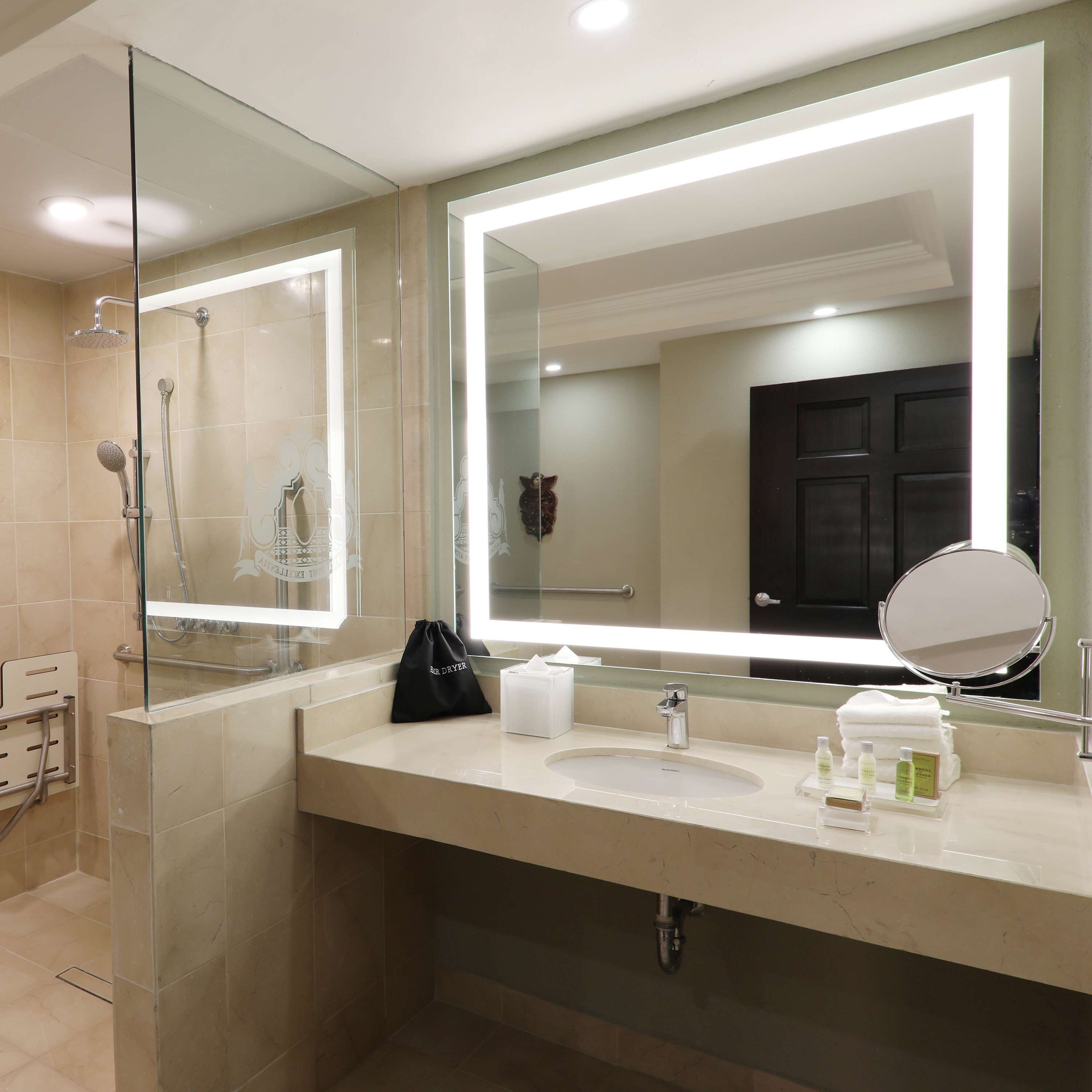 room, 1 king bed, accessible | bathroom shower