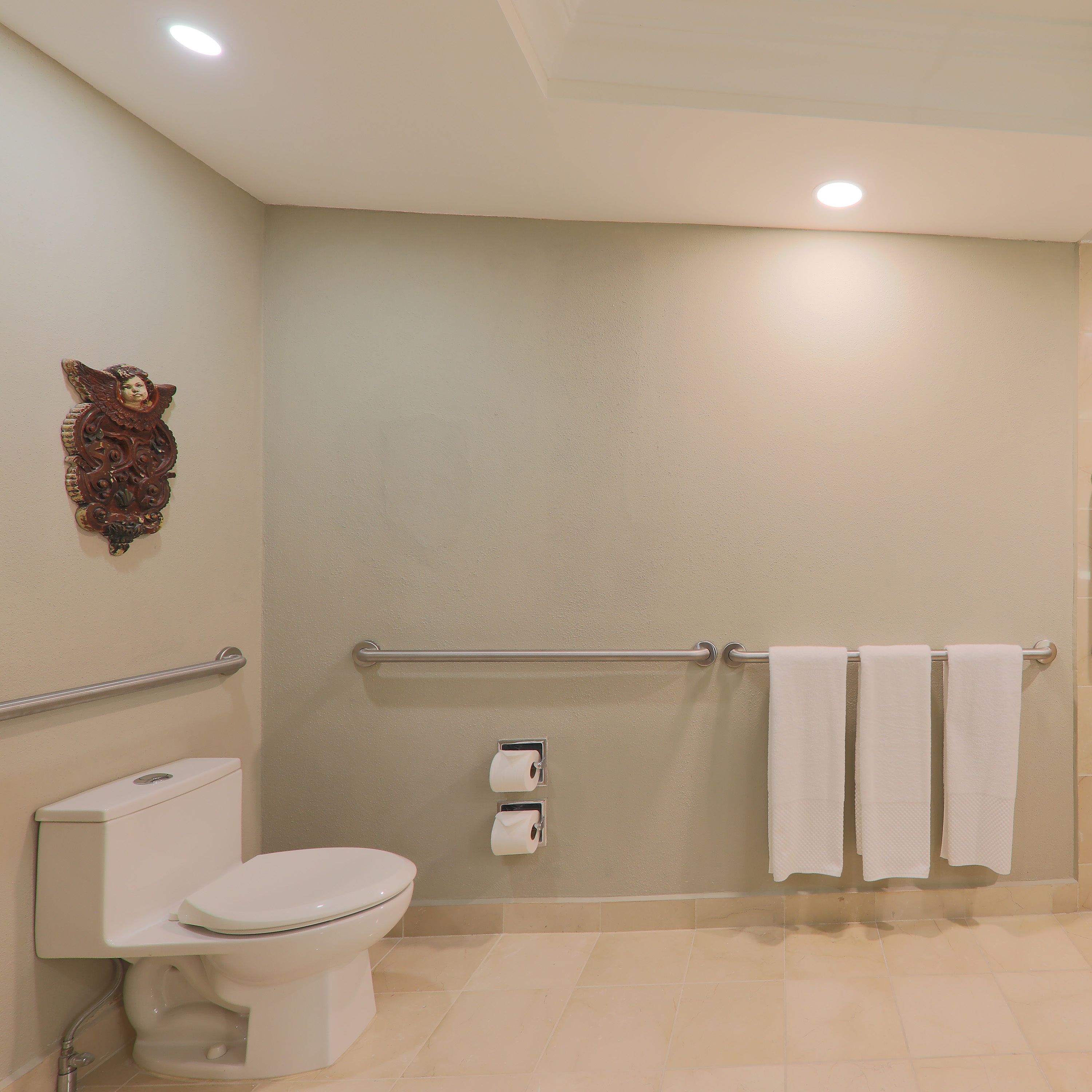A bathroom with a toilet, a towel rack, and a handrail.