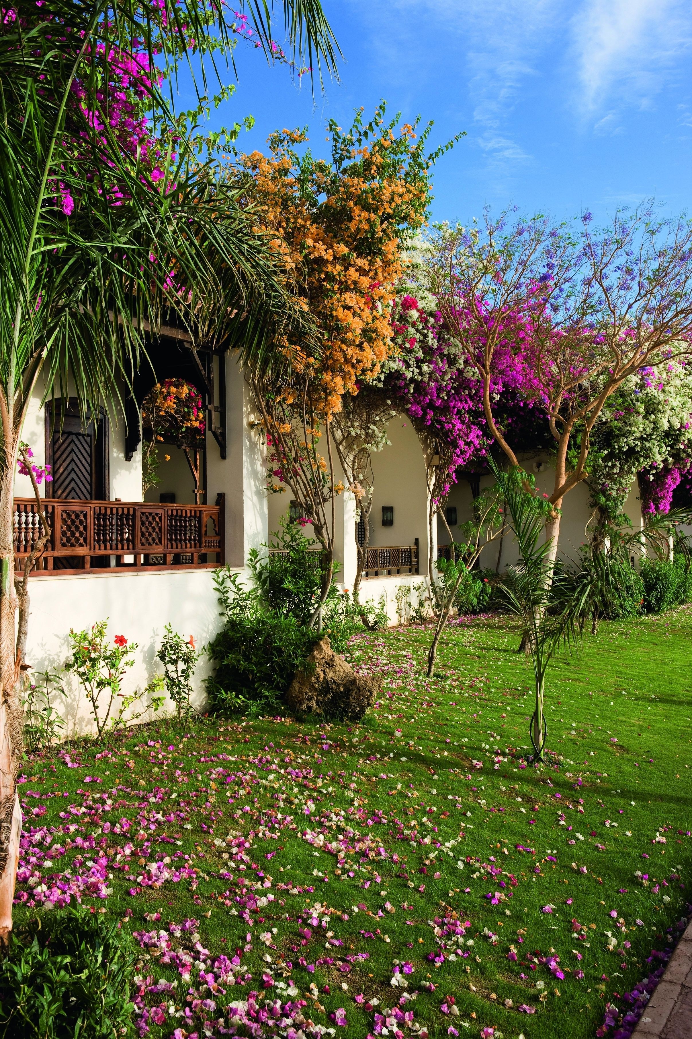 A traditional building with a white facade, wooden balcony, and lush garden with flowering plants.