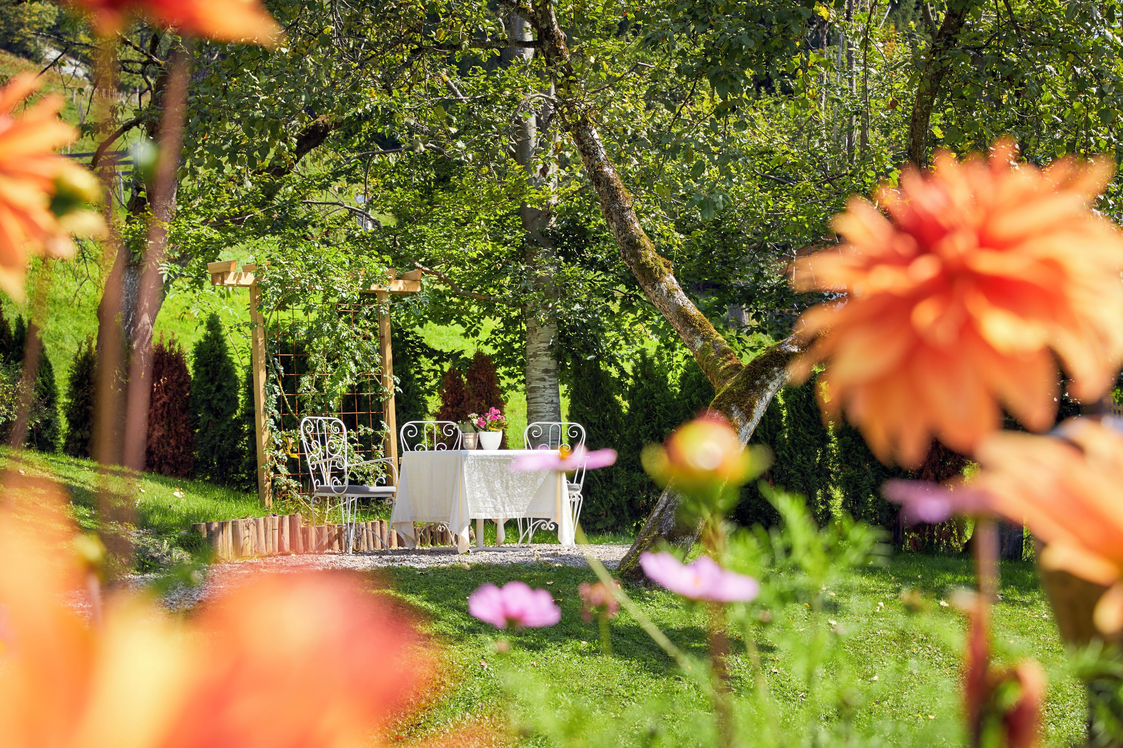 A garden setting with a table and chairs under a pergola, surrounded by lush greenery.