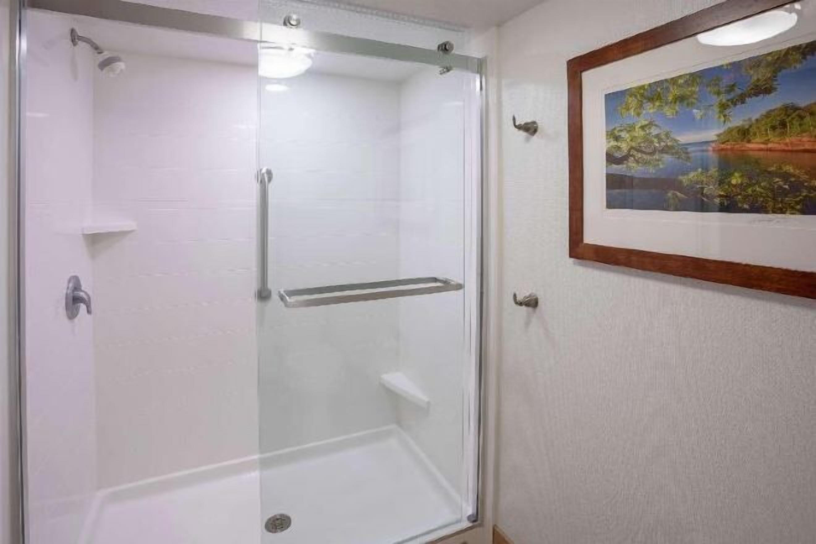 Bathroom | Combined shower/tub, free toiletries, hair dryer, towels