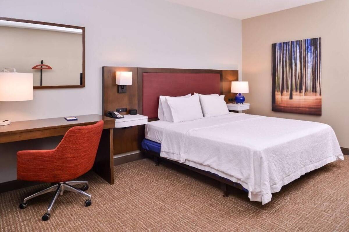 Habitació d'hotel amb un llit, escriptori, cadira i un quadre a la paret.