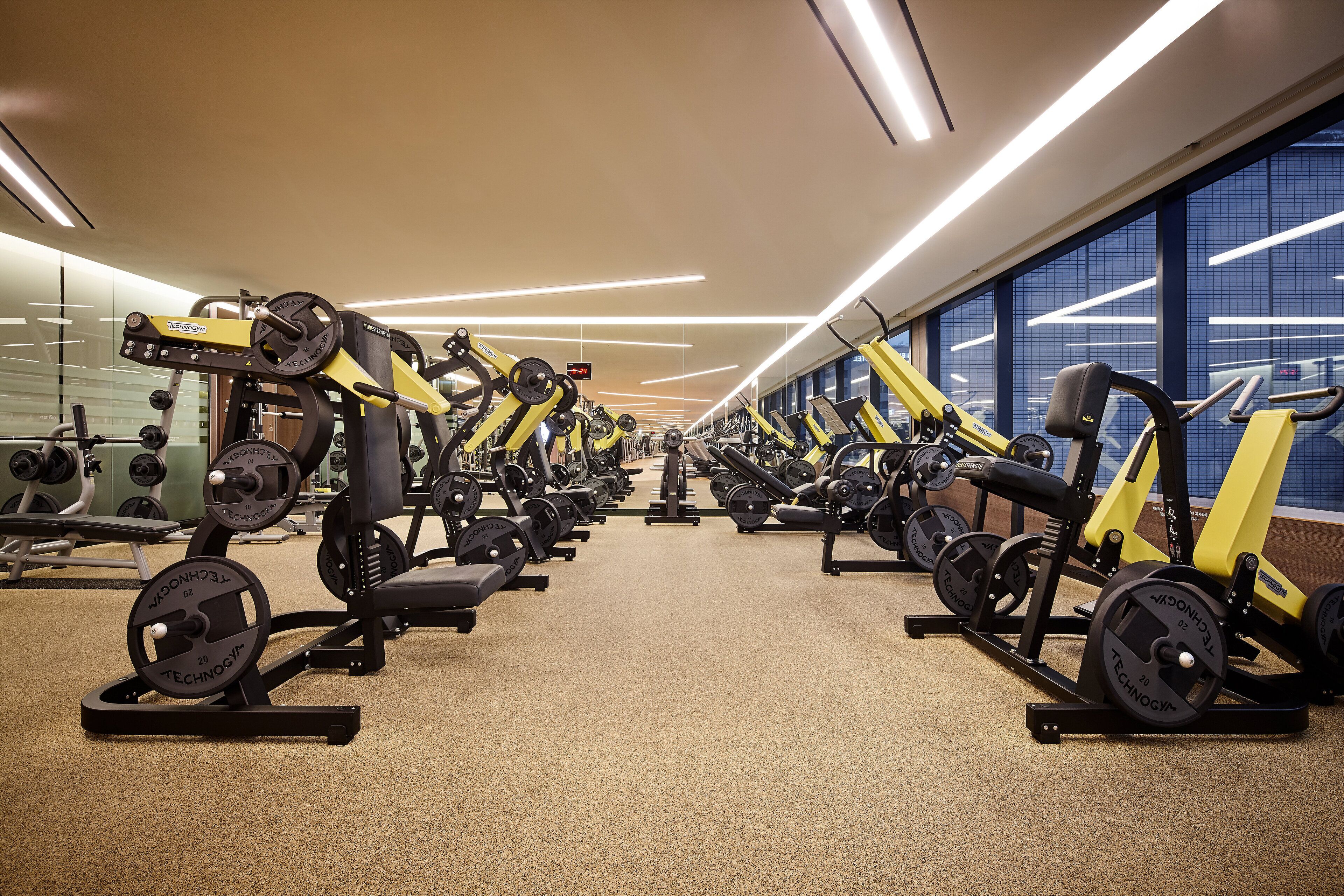 Une salle de sport équipée de nombreux appareils d’exercice, notamment des piles de poids et des bancs, disposés en rangées.